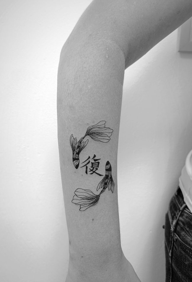 carpes koï japonaises